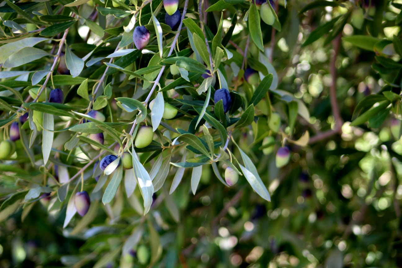 PHOTO-2026-03-31-15-51-48