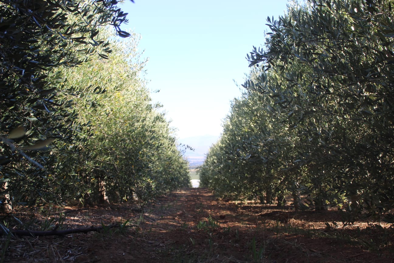 PHOTO-2026-03-31-15-51-488