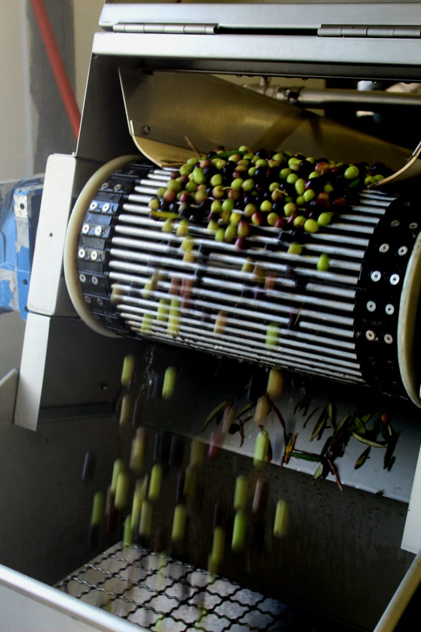 PHOTO-2026-04-01-10-44-39