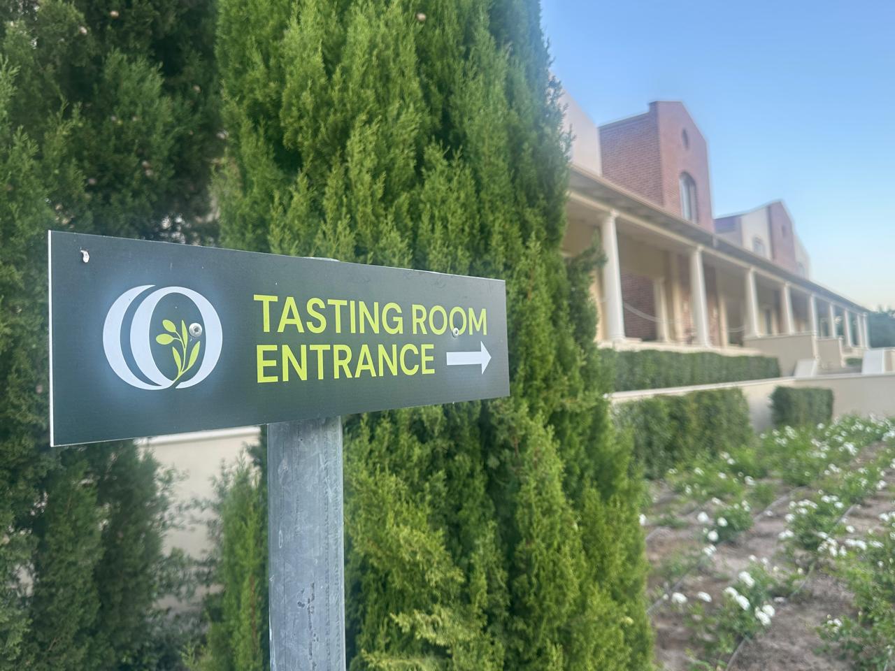 WhatsApp Image 2026-03-03 at 13.34.41